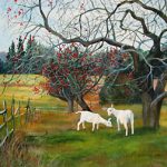 Goats In The Orchards