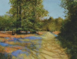 Bluebells And Bracken - Hampshire