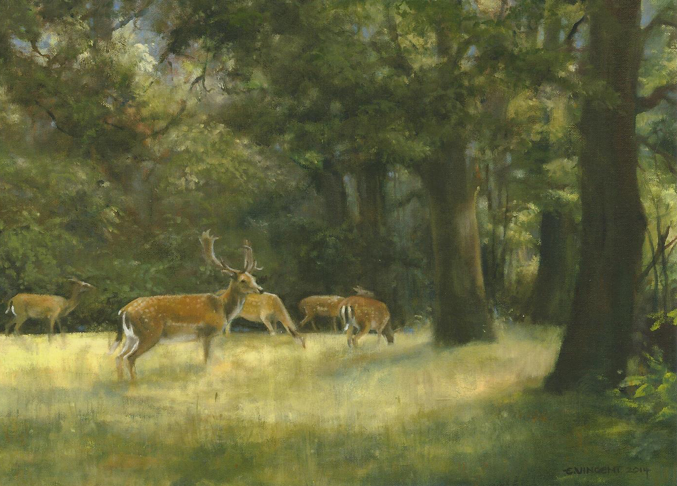 Deer in the Forest - Dorset