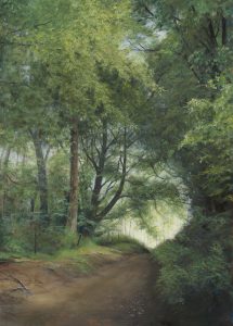 Drovers' Road - Northumberland