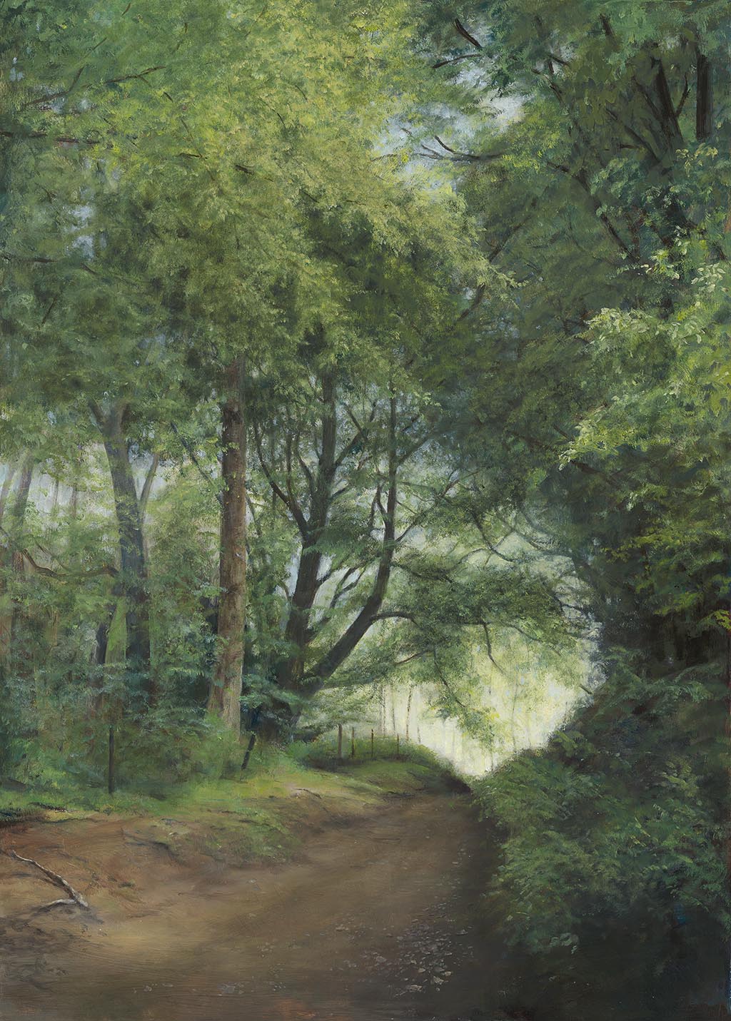 Drovers' Road - Northumberland