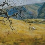 Highland Cottage - Ardnamurchan