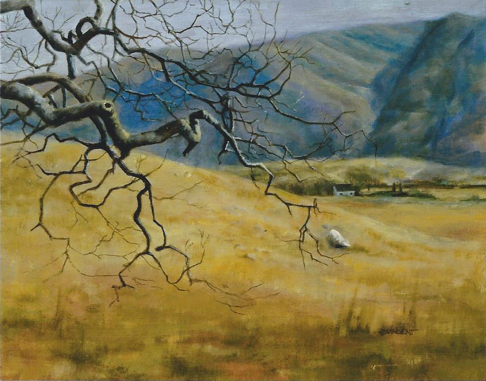 Highland Cottage - Ardnamurchan