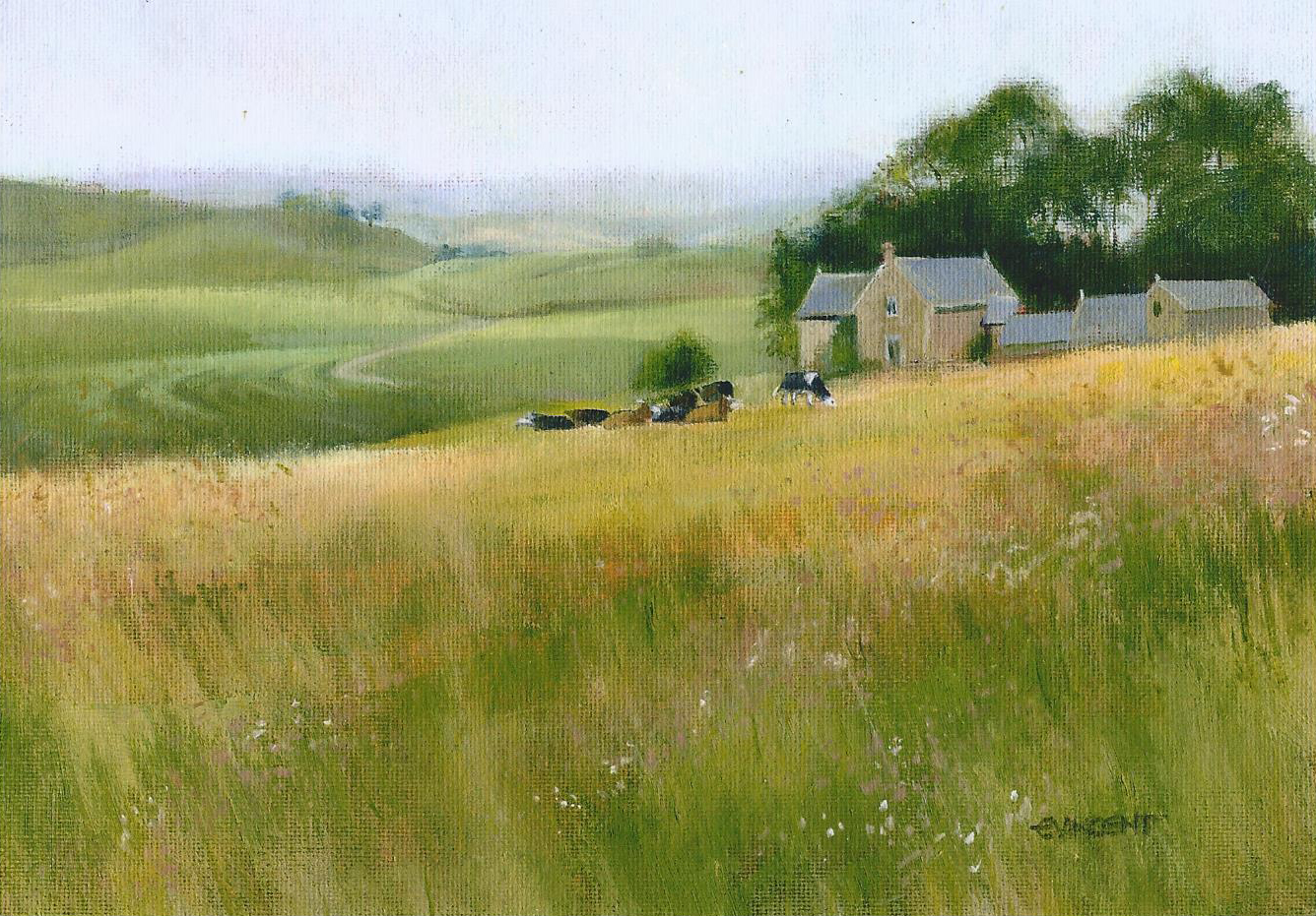 Northumberland Meadow